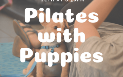 Pilates with Puppies